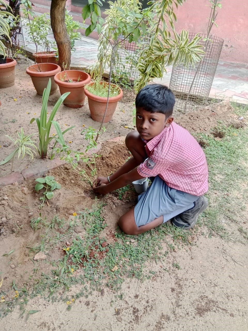  Tree Plantation Drive-  05.06.2025 to 30.09.2025